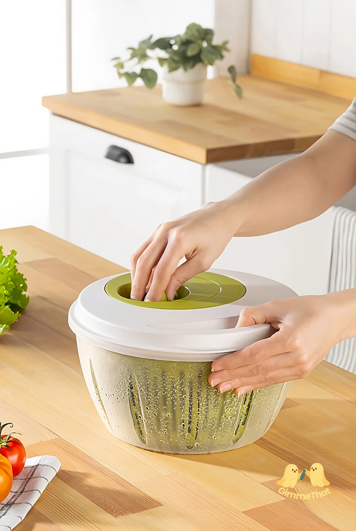 Salad Spinner V4.5