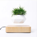 Magnetic Suspension Flower Pot Levitating Air Bonsai Pot Plant Pot Succulent Pot Patio Decoration Desktop Flower/Green Plant