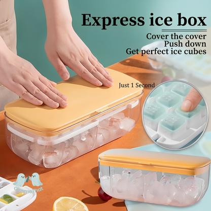 Press-Release Ice Cube Mold & Box