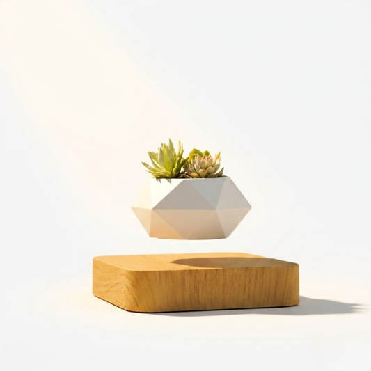 Premium Gift Levitating Succulent
